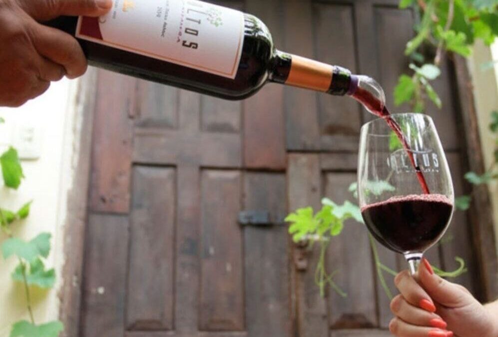 Vinos tucumanos premiados en el mundo: la Ruta del Vino de Altura gana protagonismo internacional