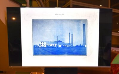 Historia, innovación y cultura: así late la industria azucarera tucumana