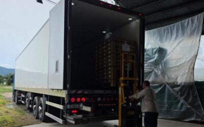 Tucumán abre nuevos mercados internacionales con la primera exportación de ají y pepino a la Unión Europea