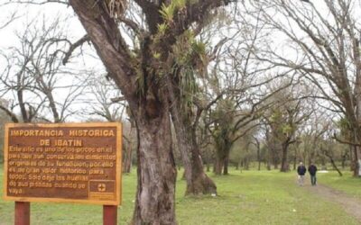 Gestión y memoria: Tucumán proyecta su identidad histórica desde la Casa Provincial en CABA
