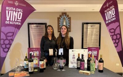 El vino tucumano pisa fuerte en el Norte y consolida su proyección nacional