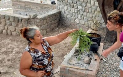 Maestra amaicheña brindará un taller sobre hierbas medicinales, aromáticas y tintes naturales en la Casa de Tucumán